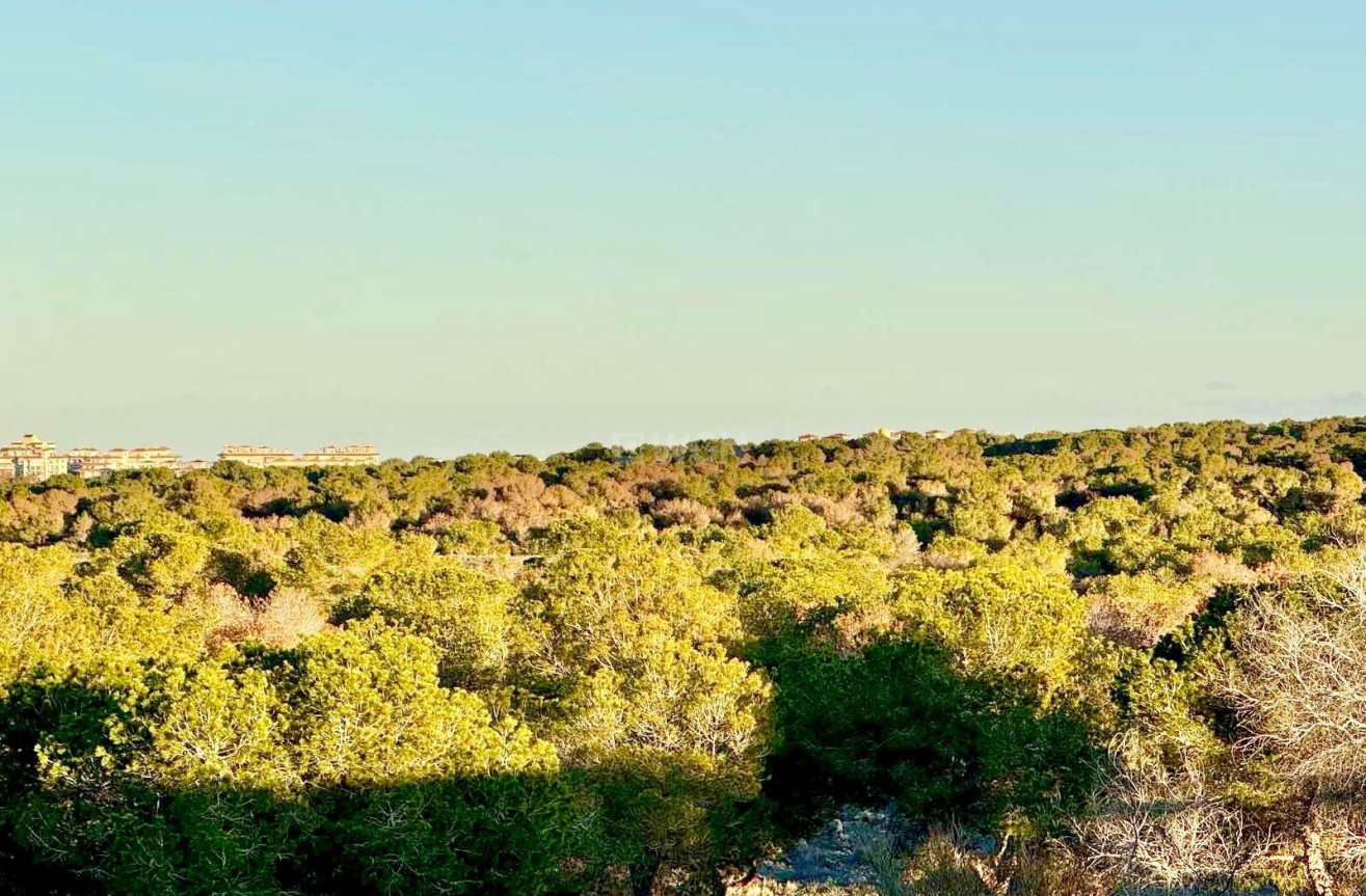 Odsprzedaż - Kamienica - Torrevieja - La Siesta - El Salado - Torreta
