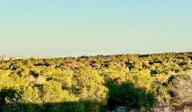 Odsprzedaż - Kamienica - Torrevieja - La Siesta - El Salado - Torreta