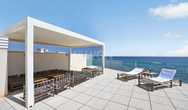 Odsprzedaż - Mieszkanie w bloku - Torrevieja - Costa Blanca