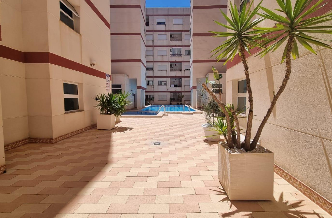 Resale - Apartment / flat - Torrevieja - PARQUE DE LAS NACIONES