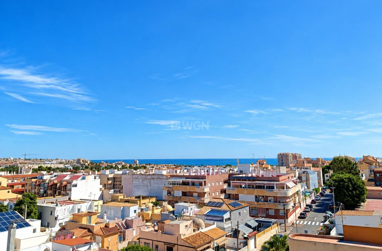 Nowy budynek - Mieszkanie w bloku - Torrevieja - Nueva Torrevieja