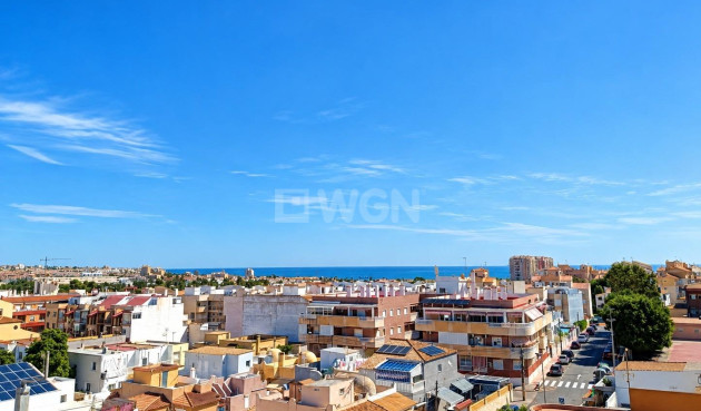 Nowy budynek - Mieszkanie w bloku - Torrevieja - Nueva Torrevieja