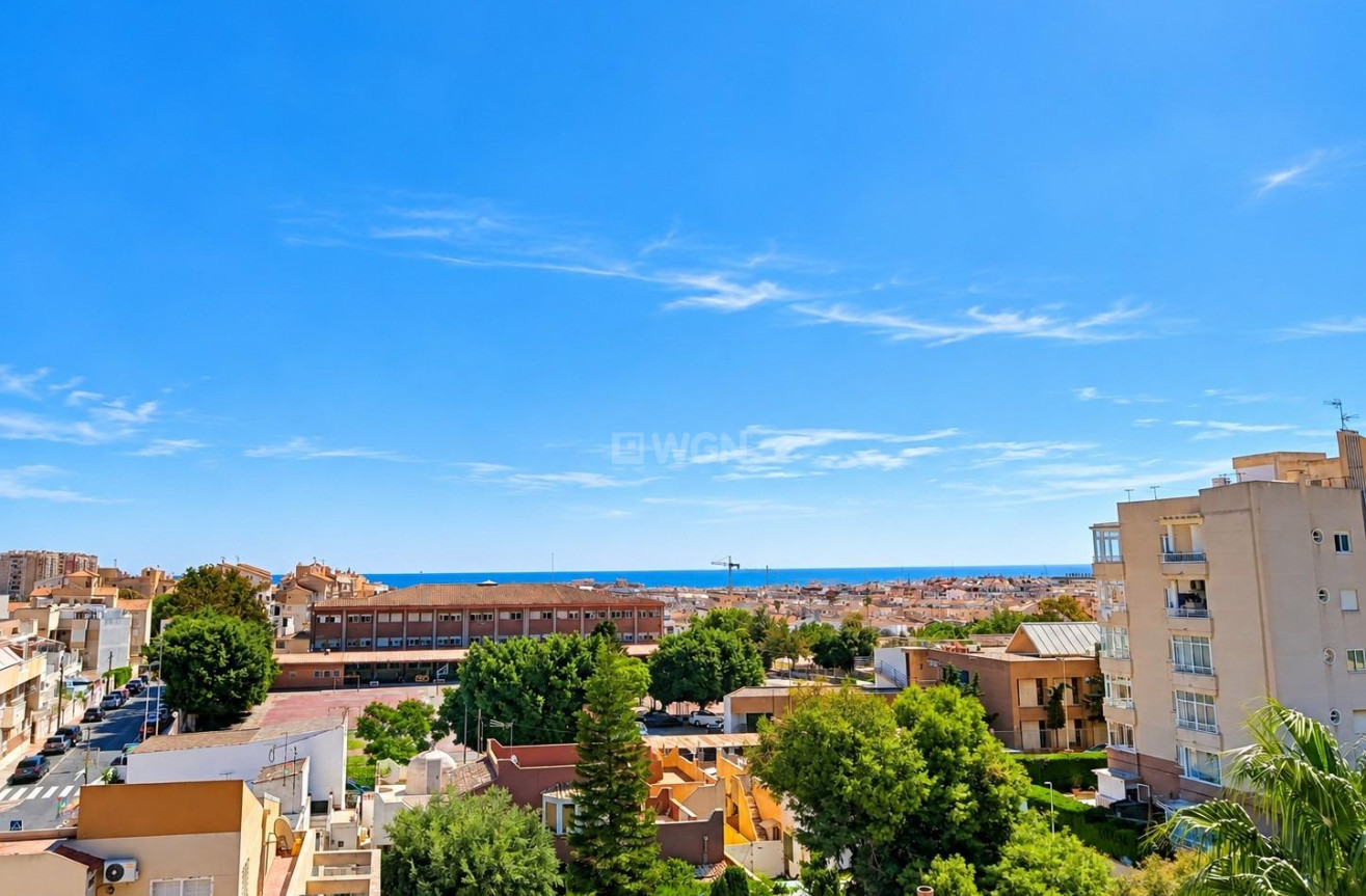 Nowy budynek - Mieszkanie w bloku - Torrevieja - Nueva Torrevieja