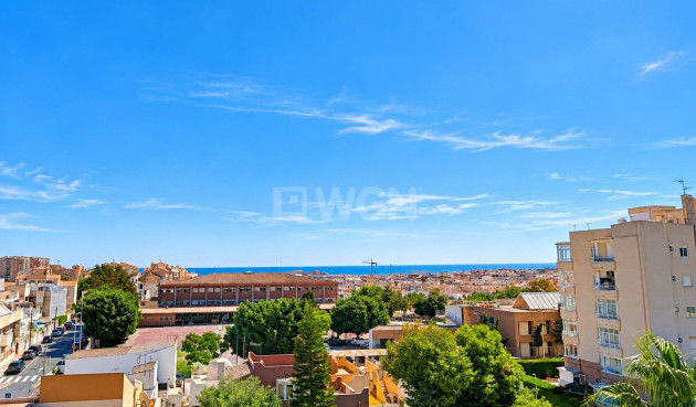 Nowy budynek - Mieszkanie w bloku - Torrevieja - Nueva Torrevieja