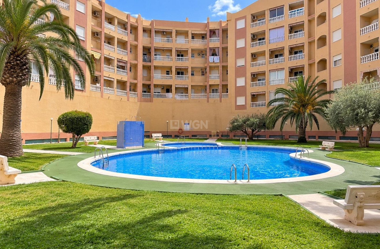 Odsprzedaż - Daszek - Torrevieja - PARQUE DE LAS NACIONES