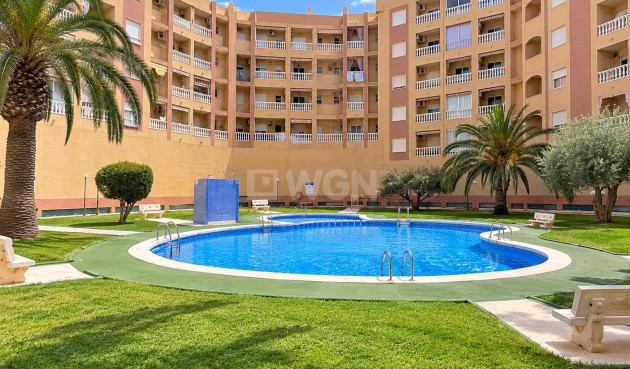 Odsprzedaż - Daszek - Torrevieja - PARQUE DE LAS NACIONES