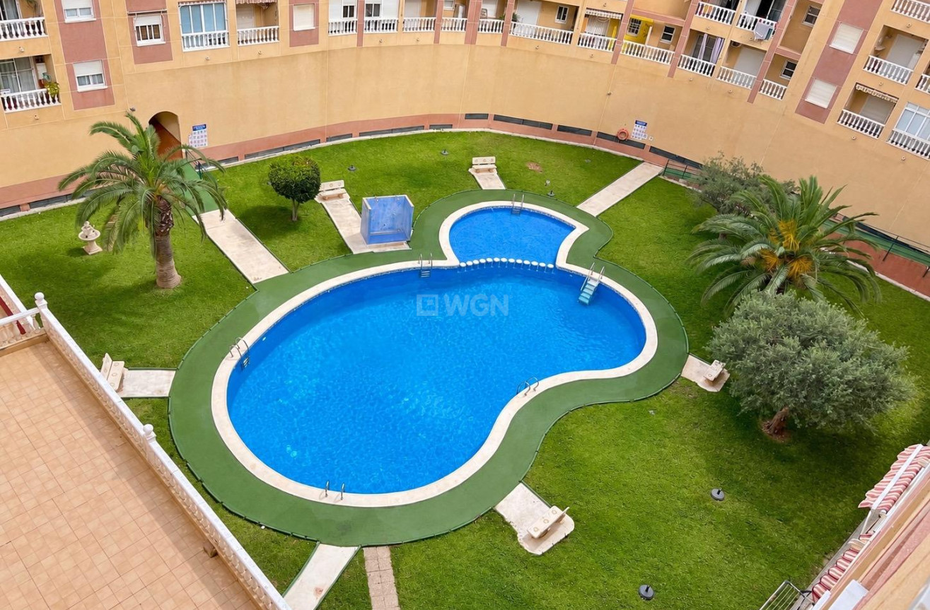 Odsprzedaż - Daszek - Torrevieja - PARQUE DE LAS NACIONES