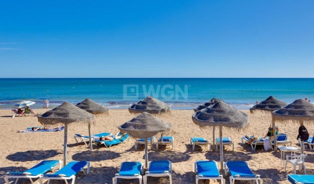 Reventa - Apartamento / piso - Torrevieja - Los Europeos