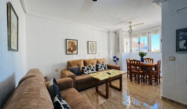 Resale - Apartment / flat - La Mata - Costa Blanca