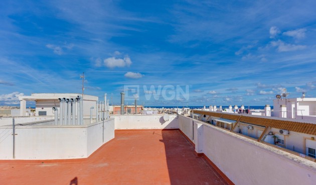 Reventa - Apartamento / piso - Torrevieja - Estacion De Autobuses