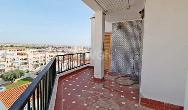 Odsprzedaż - Daszek - Torrevieja - Habaneras