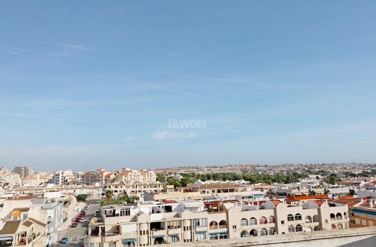 Odsprzedaż - Daszek - Torrevieja - Habaneras