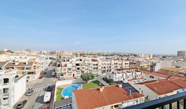 Odsprzedaż - Daszek - Torrevieja - Habaneras