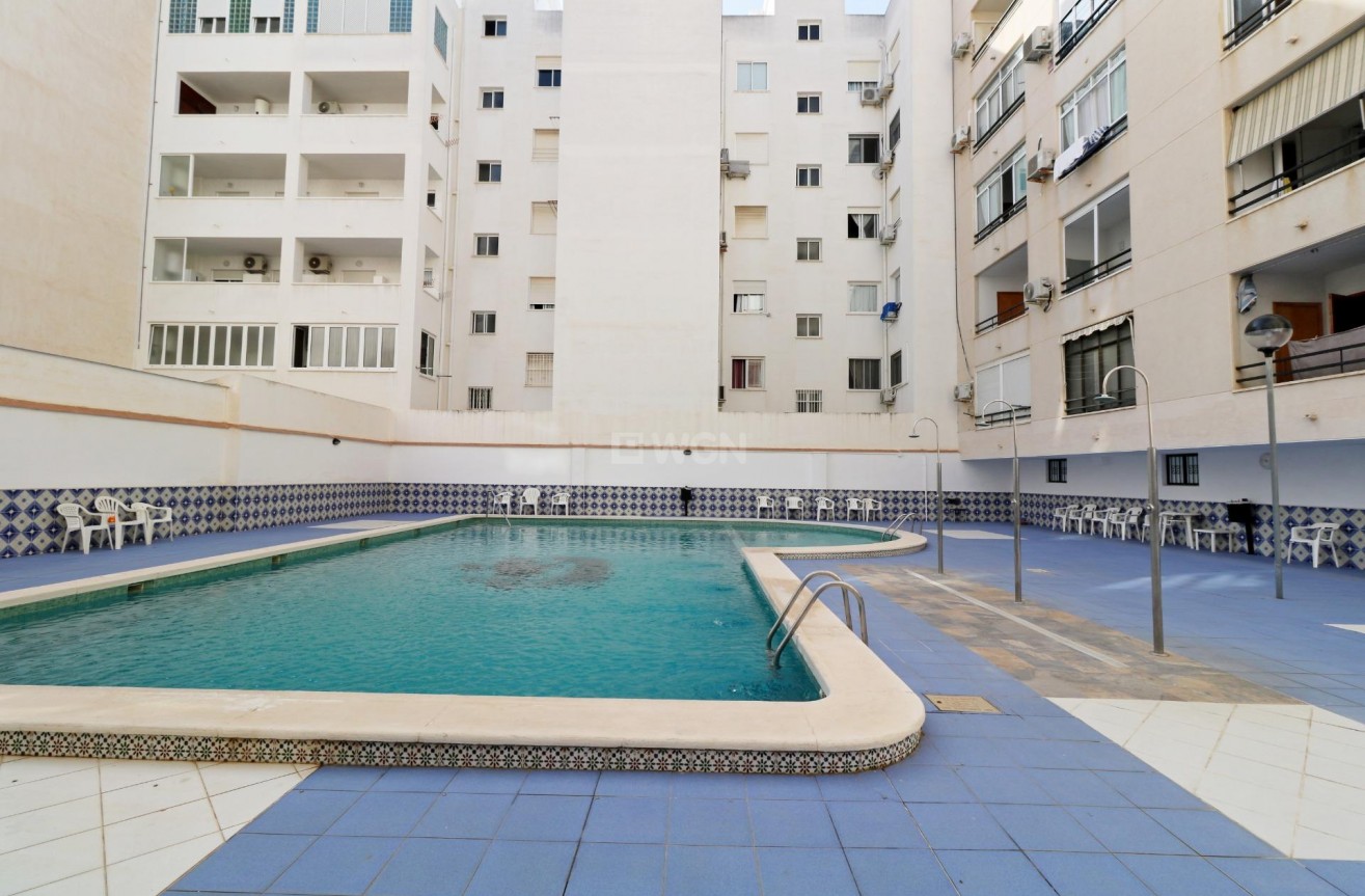 Odsprzedaż - Daszek - Torrevieja - Habaneras