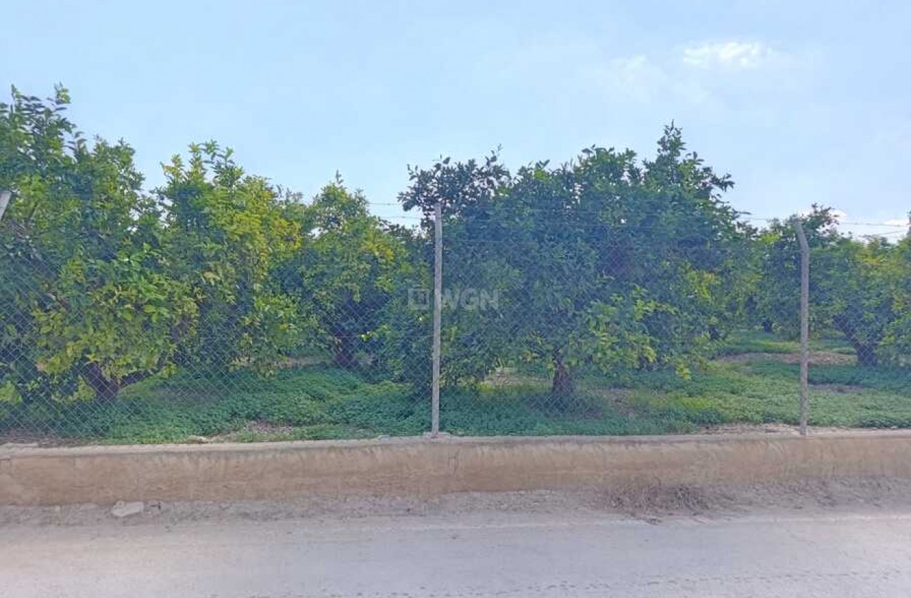 Resale - Apartment / flat - Benejúzar - Inland