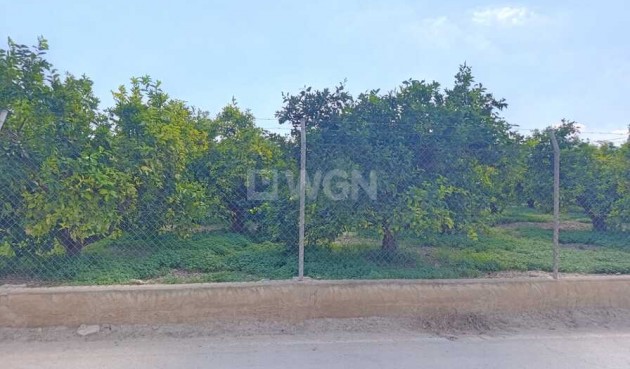 Resale - Apartment / flat - Benejúzar - Inland