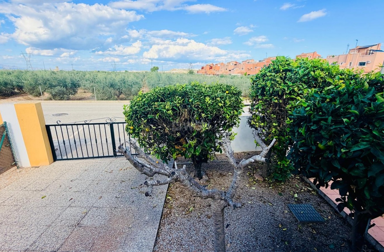 Resale - Villa - Los Montesinos - Costa Blanca