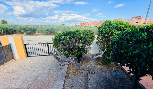 Resale - Villa - Los Montesinos - Costa Blanca