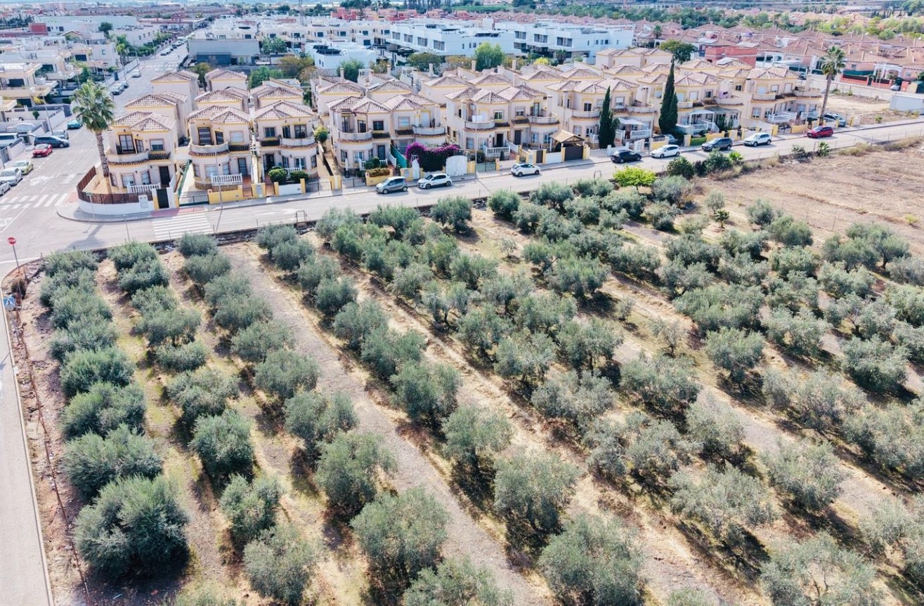 Resale - Villa - Los Montesinos - Costa Blanca