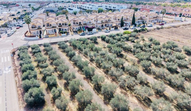 Resale - Villa - Los Montesinos - Costa Blanca