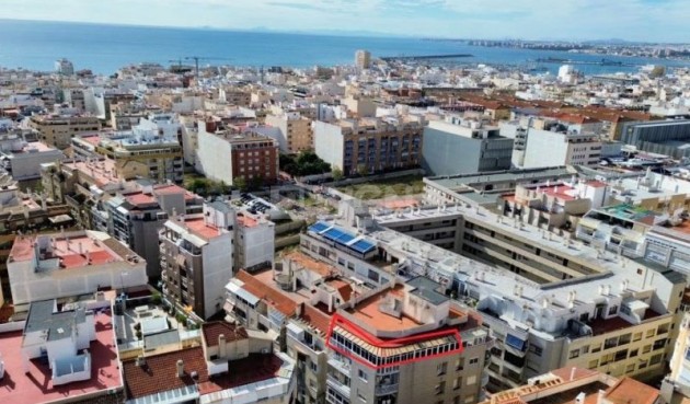 Wiederverkauf - Wohnung - Torrevieja - Costa Blanca