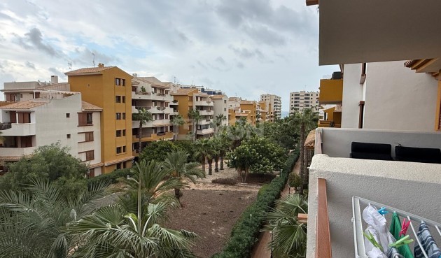 Odsprzedaż - Mieszkanie w bloku - Torrevieja - Punta Prima