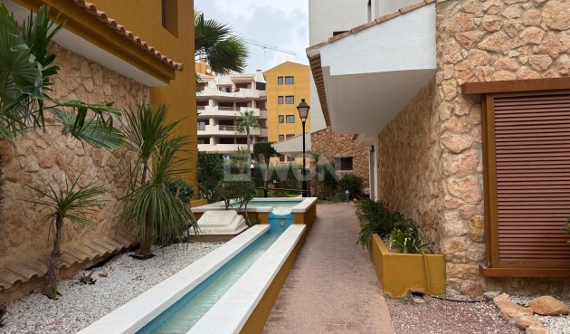 Odsprzedaż - Mieszkanie w bloku - Torrevieja - Punta Prima