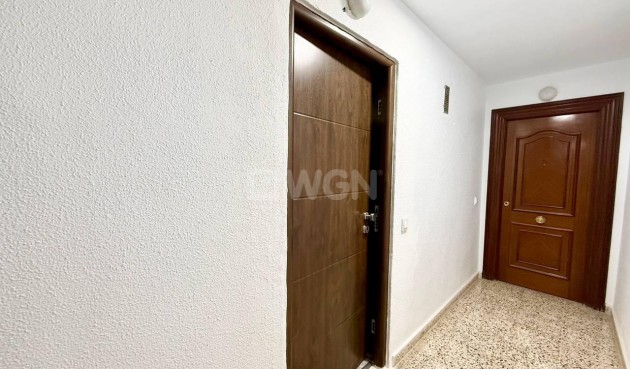 Reventa - Apartamento / piso - Torrevieja - Playa del Cura