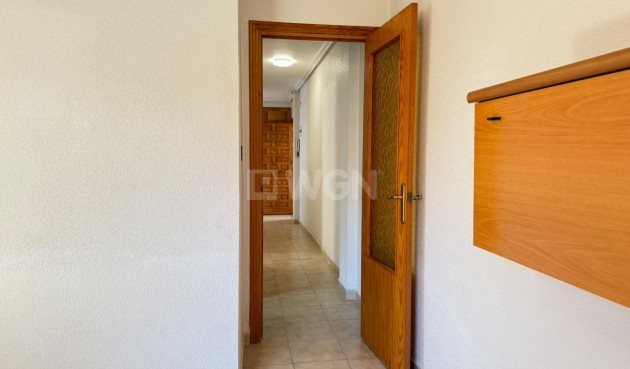 Wiederverkauf - Wohnung - Lo Pagan - Villananitos