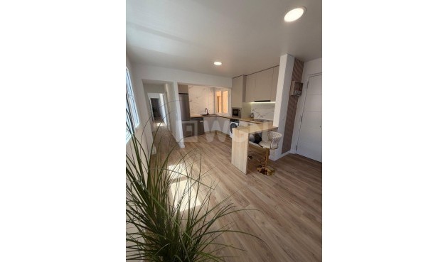 Resale - Apartment / flat - Torrevieja - Playa de los Locos
