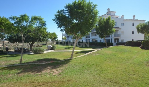 Wiederverkauf - Wohnung - Hacienda Riquelme Golf Resort - Inland