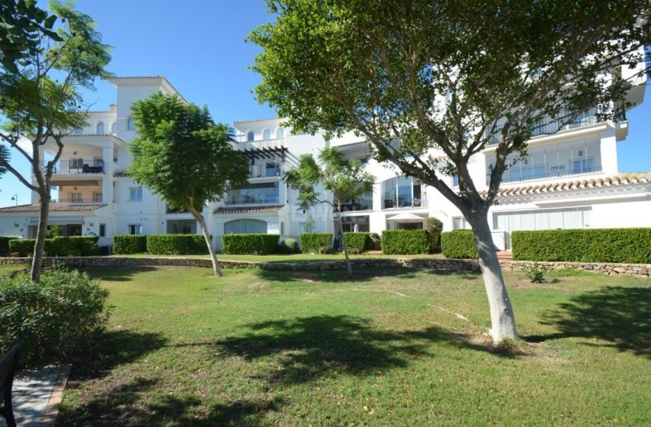 Wiederverkauf - Wohnung - Hacienda Riquelme Golf Resort - Inland