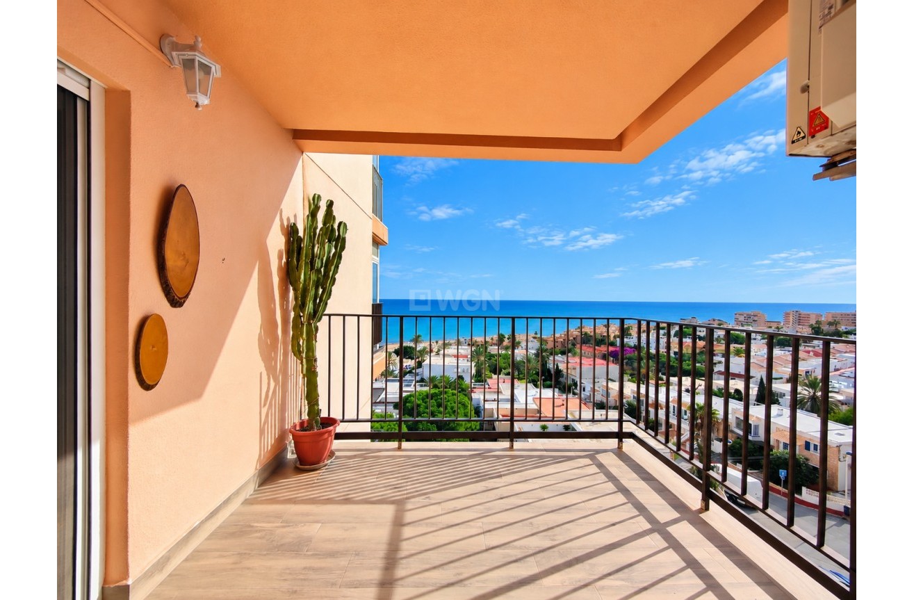 Odsprzedaż - Mieszkanie w bloku - Torrevieja - Costa Blanca