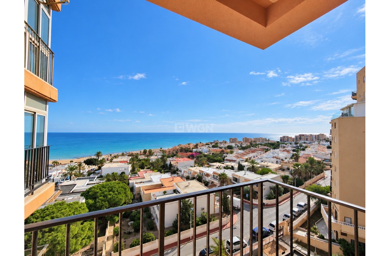 Odsprzedaż - Mieszkanie w bloku - Torrevieja - Costa Blanca