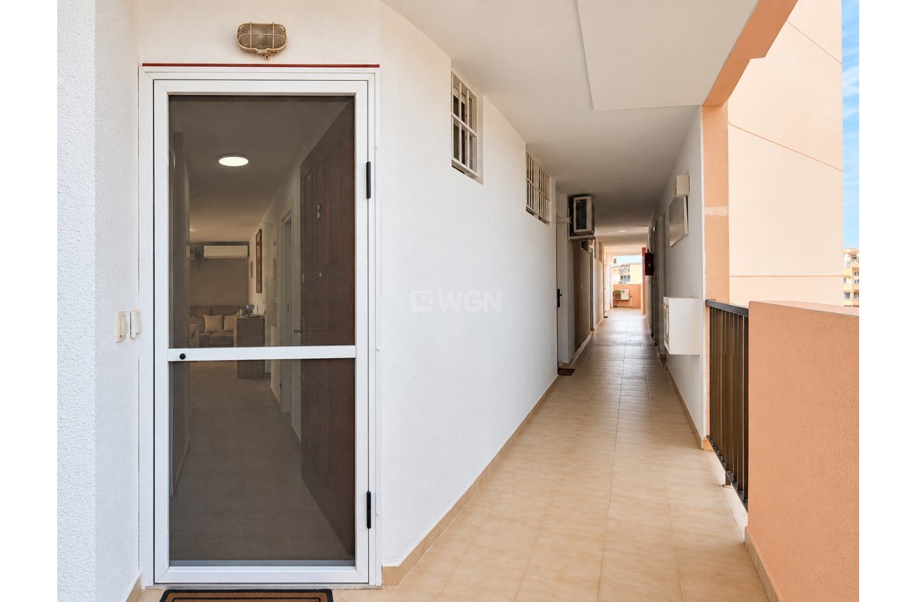 Odsprzedaż - Mieszkanie w bloku - Torrevieja - Costa Blanca