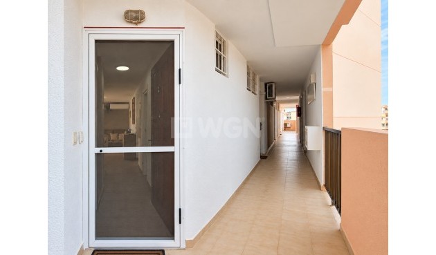 Odsprzedaż - Mieszkanie w bloku - Torrevieja - Costa Blanca