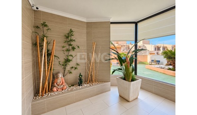 Odsprzedaż - Mieszkanie w bloku - Torrevieja - Costa Blanca