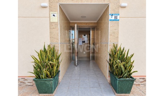 Odsprzedaż - Mieszkanie w bloku - Torrevieja - Costa Blanca