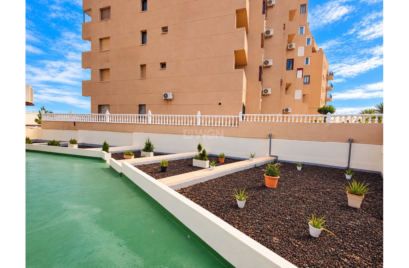 Odsprzedaż - Mieszkanie w bloku - Torrevieja - Costa Blanca