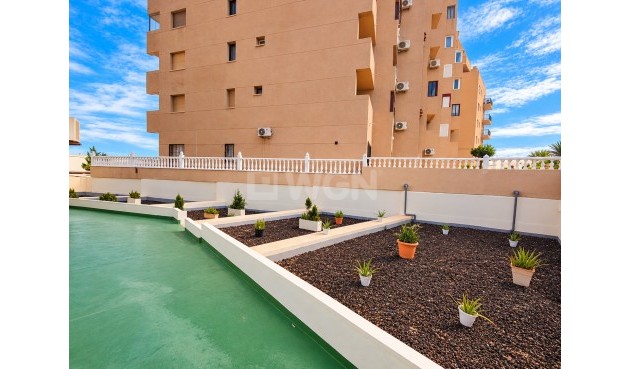 Odsprzedaż - Mieszkanie w bloku - Torrevieja - Costa Blanca