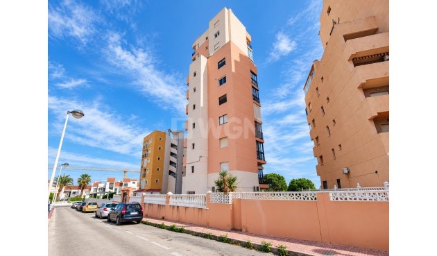 Odsprzedaż - Mieszkanie w bloku - Torrevieja - Costa Blanca