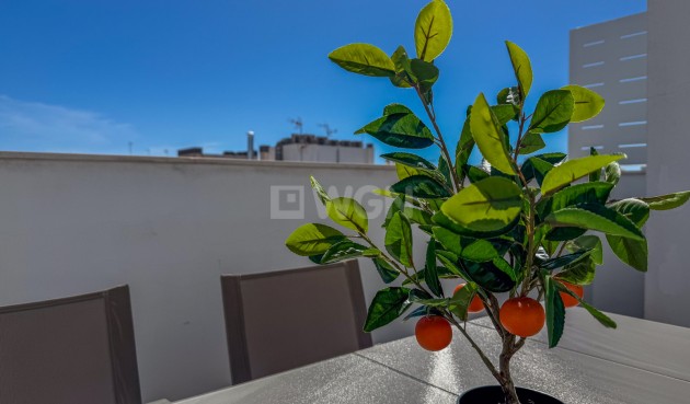 Odsprzedaż - Mieszkanie w bloku - Torrevieja - Costa Blanca