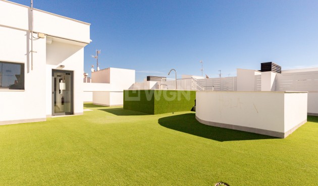 Odsprzedaż - Mieszkanie w bloku - Torrevieja - Costa Blanca
