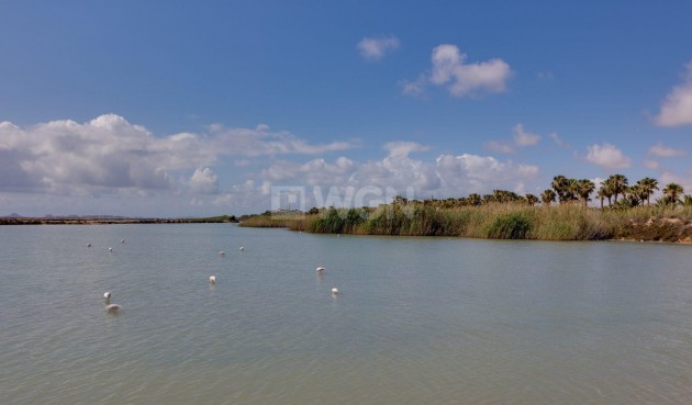 Resale - Townhouse - San Pedro del Pinatar - Lo pagan