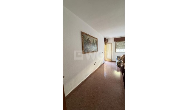 Reventa - Apartamento / piso - Orihuela - Zona Centro