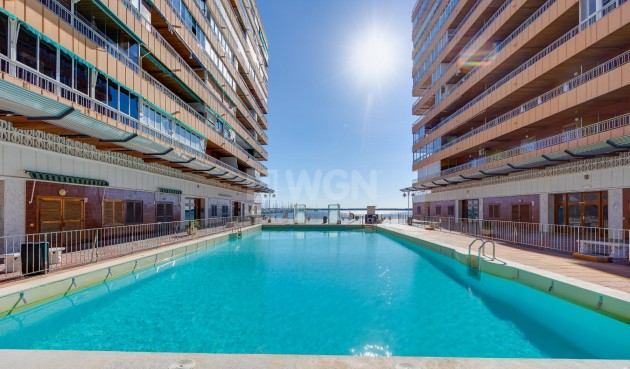 Resale - Apartment / flat - Torrevieja - Costa Blanca
