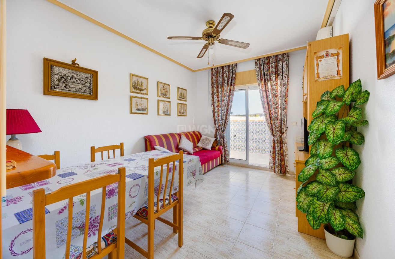 Resale - Penthouse - Torrevieja - Costa Blanca