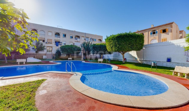 Resale - Penthouse - Torrevieja - Costa Blanca