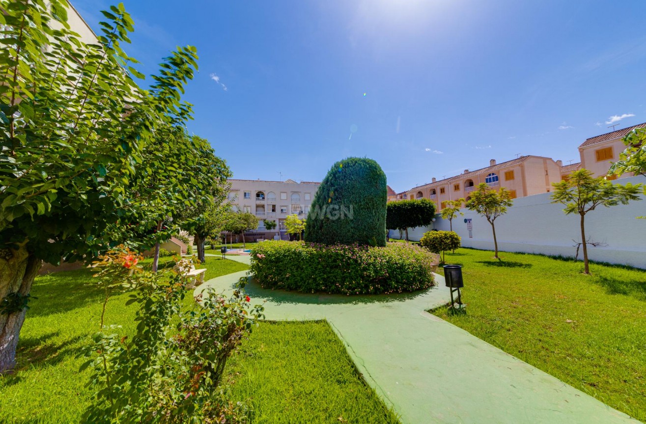 Resale - Penthouse - Torrevieja - Costa Blanca