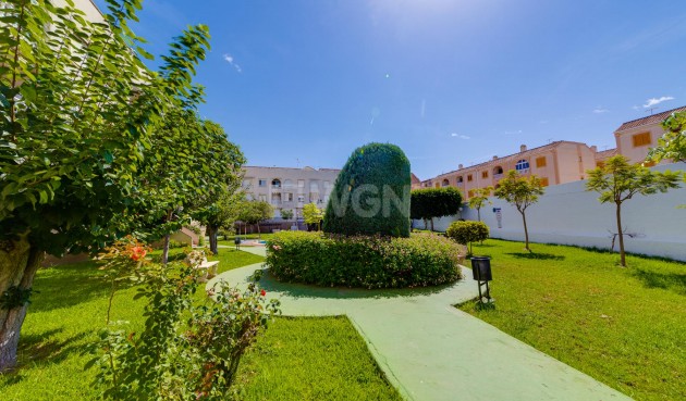 Resale - Penthouse - Torrevieja - Costa Blanca